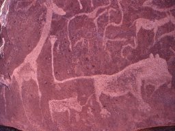 Gravures rupestres vers Twyfelfontein